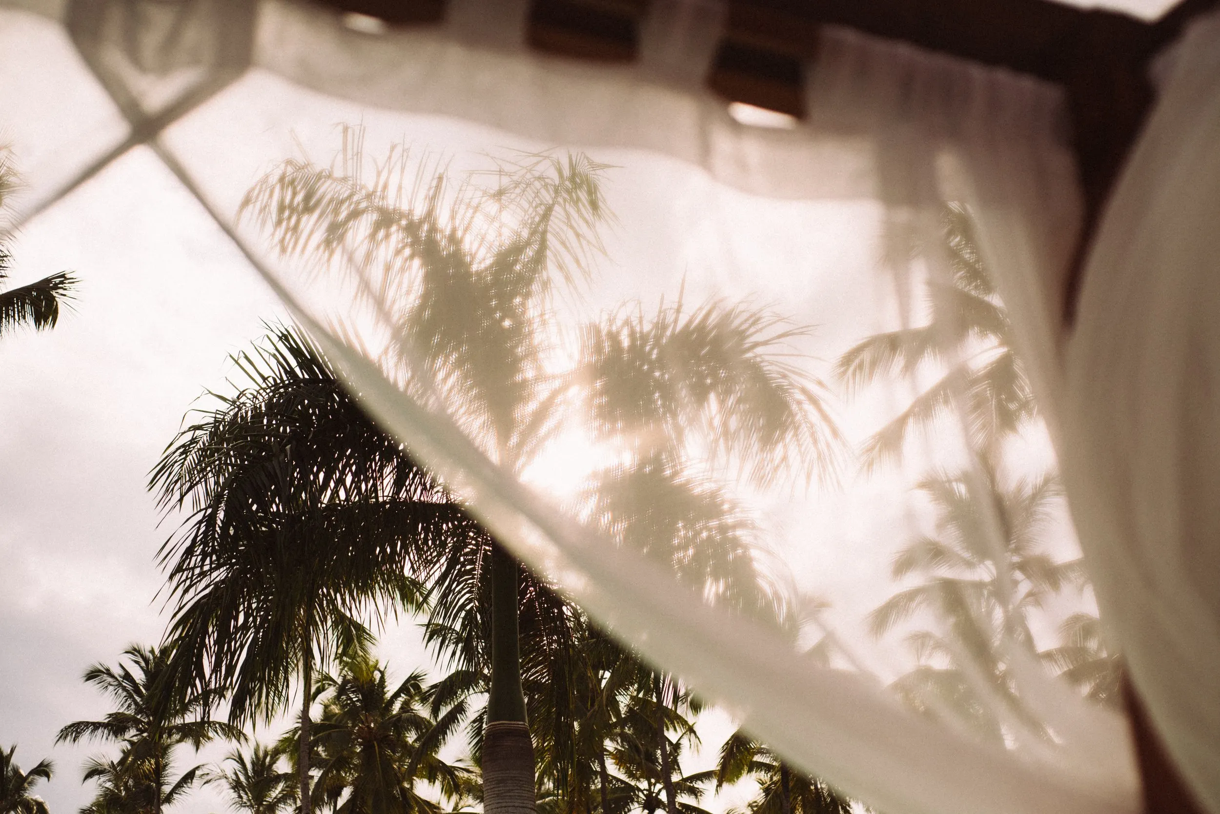 Sheer curtains moving in front of trees